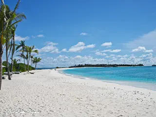Finolhu Maldives Crab Shack