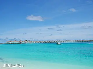 Finolhu Maldives Crab Shack