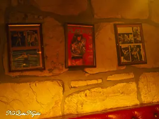 Fonzarelli's Surry Hills