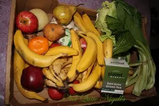 Freeganism