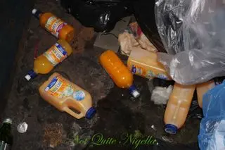 Freeganism