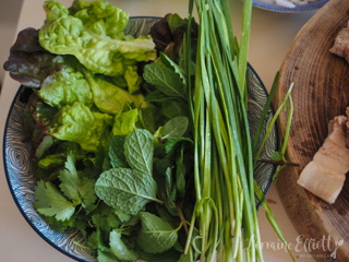 Fresh Vietnamese Spring Rolls