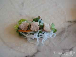 Fresh Vietnamese Spring Rolls