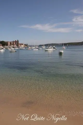 garfish, manly