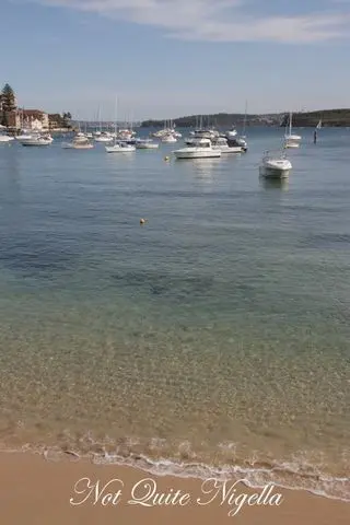 garfish, manly