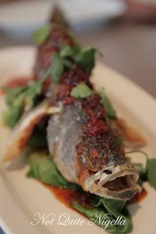 garfish, manly