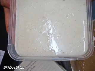 Glazed Doughnuts