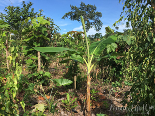Halba Chocolate Switzerland