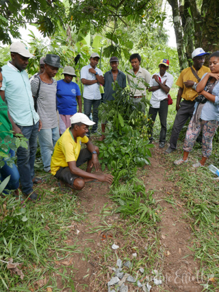 Halba Chocolate Switzerland