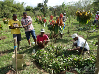 Halba Chocolate Switzerland