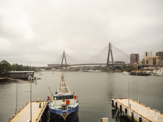 Hamsi Taverna, Sydney Fish Market