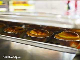 Hokkaido Baked Cheese Tart