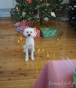 Honey Baked Ham - Spiral Cut