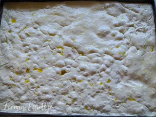 Four Focaccia Garden Designs