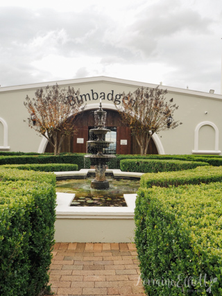 Esca Bimbadgen overlooking the vineyards