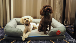 Kimpton Margot Sydney