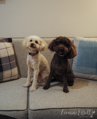 Kimpton Margot Sydney