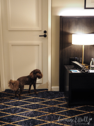 Kimpton Margot Sydney