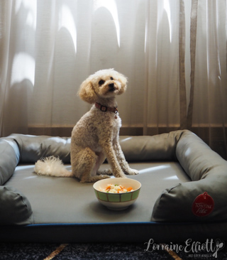 Kimpton Margot Sydney