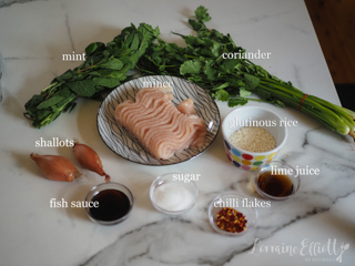 Larb Recipe