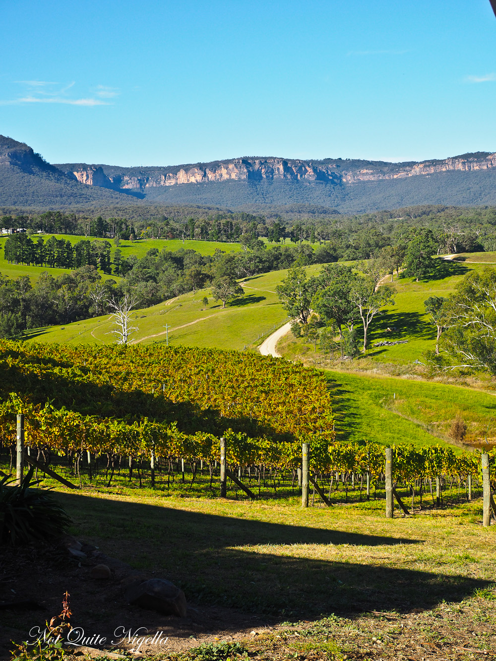Lavender Manor, Blackheath, Blue Mountains Not Quite Nigella