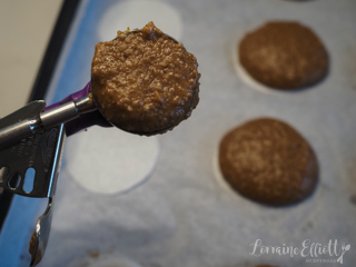 Lebkuchen German Gingerbread Cookies