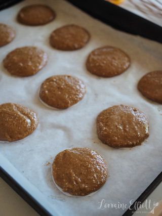 Lebkuchen German Gingerbread Cookies