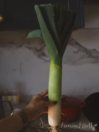 Leek Vinaigrette Poireaux Vinaigrette