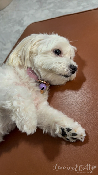 Lemon Ricotta Pancakes