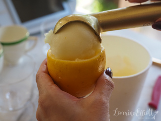 Lemon Sorbet Recipe