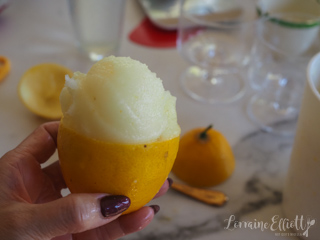 Lemon Sorbet Recipe