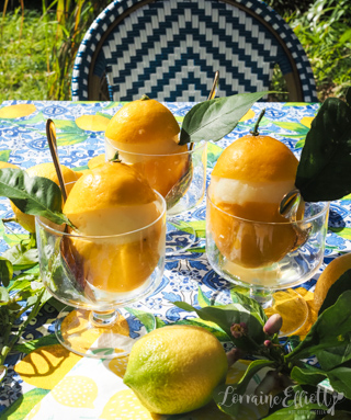 Lemon Sorbet Recipe