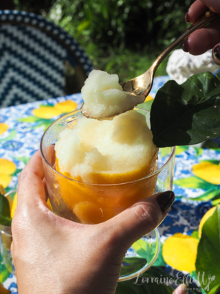 Lemon Sorbet Recipe