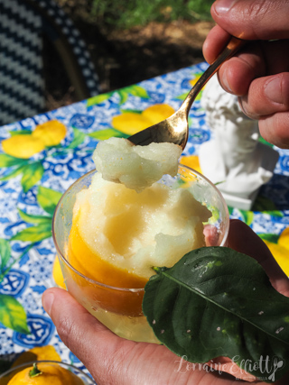 Lemon Sorbet Recipe