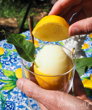Lemon Sorbet Recipe