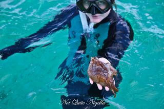 lord howe island