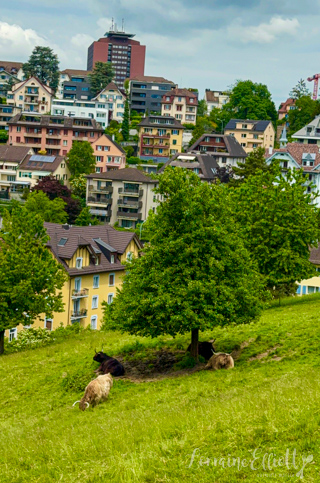 Lucerne City Tour