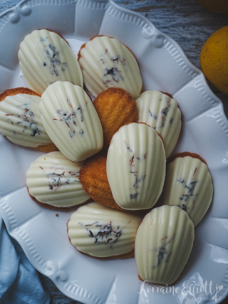 Lemon Madeleine Cakes