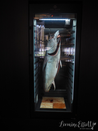 Magma, Novotel Cabramatta