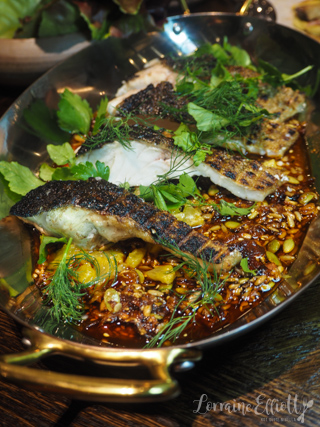 Magma, Novotel Cabramatta