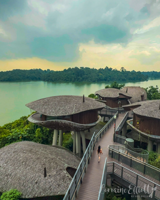 Mandai Banyan Tree Rainforest Resort At Singapore Zoo