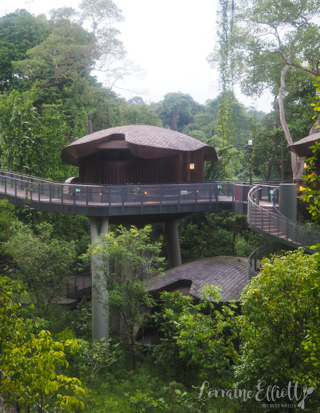 Mandai Banyan Tree Rainforest Resort At Singapore Zoo