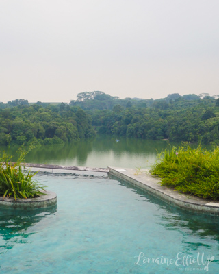 Mandai Banyan Tree Rainforest Resort At Singapore Zoo