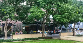 Marta Rushcutters Bay