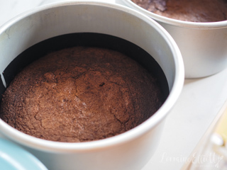 Matilda Chocolate Cake