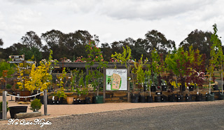 Mayfield Garden Oberon Blue Mountains