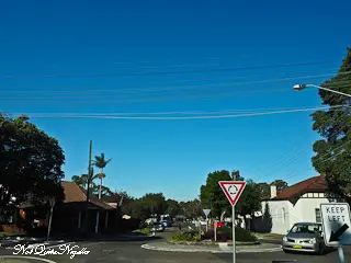 Best Meat Pies Sydney