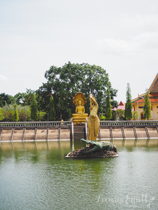 Mekong River Cruise Buddhism Cambodia