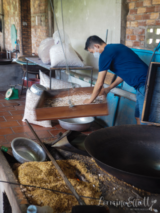 Mekong River Cruise Mekong Delta, Vietnam