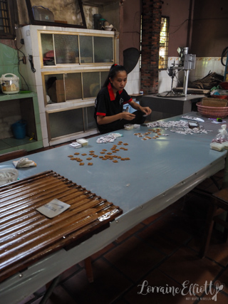 Mekong River Cruise Mekong Delta, Vietnam